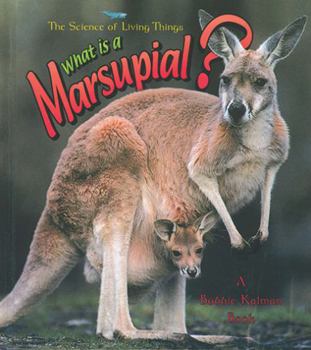 Hardcover What Is a Marsupial? Book