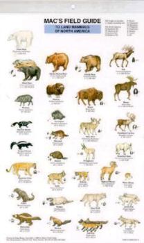 Paperback Mac's Field Guides: North American Land Mammals Book