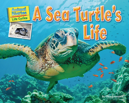 Paperback A Sea Turtle's Life Book