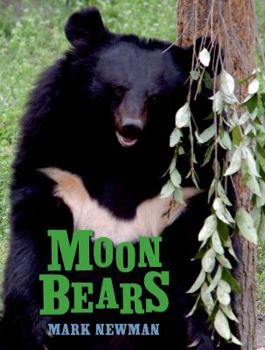 Hardcover Moon Bears Book