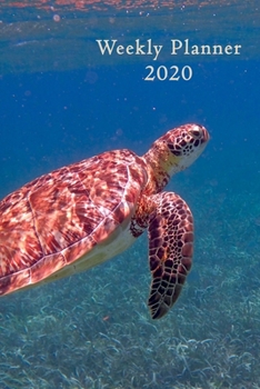 Weekly Planner 2020: Sea Turtle | 6x9 | Calendar | Organizer | calendar | weekly Calendar | Diary | Journal |