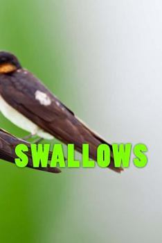 Paperback Swallows: notebook Book
