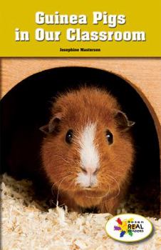 Paperback Guinea Pigs in Our Classroom Book