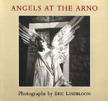 Hardcover Angels at the Arno Book