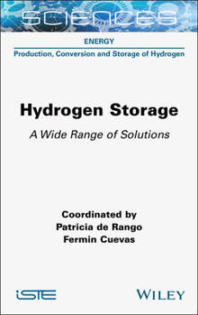 Hardcover Hydrogen Storage: A Wide Range of Solutions Book