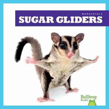 Paperback Sugar Gliders Book