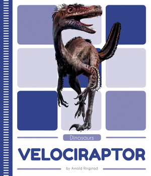 Paperback Velociraptor Book