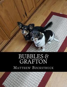 Paperback Bubbles & Grafton Book