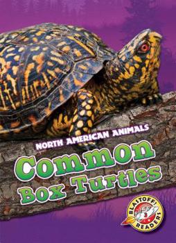 Library Binding Common Box Turtles Book