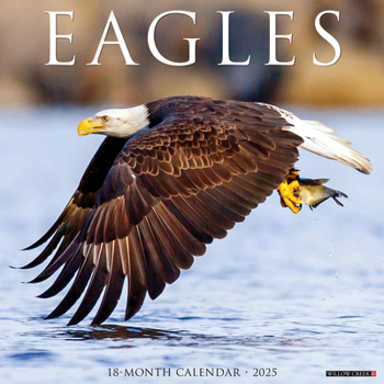 Unknown Binding Eagles 2025 12 X 12 Wall Calendar Book