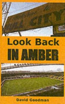Look Back in Amber