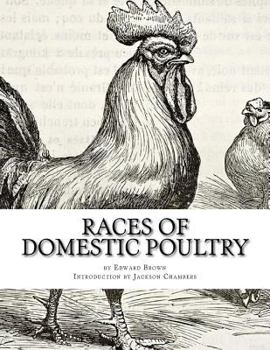 Paperback Races of Domestic Poultry: A Guide to Poultry Breeds Book