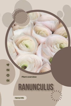 Ranunculus: Simply beginners guide