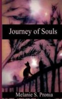 Paperback Journey of Souls Book