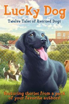 Hardcover Lucky Dog: Twelve Tales of Rescued Dogs Book