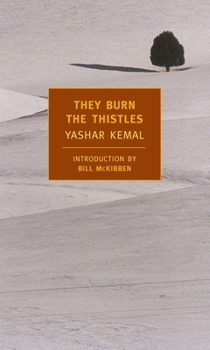Paperback They Burn the Thistles Book