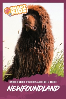 Paperback Unbelievable Pictures and Facts About Newfoundlands Book