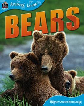 Paperback Animal Lives: Bears Book