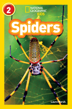 Paperback NAT GEO READERS - SPIDERS Book