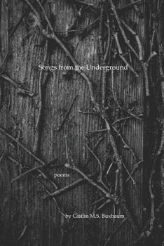 Paperback Songs from the Underground Book