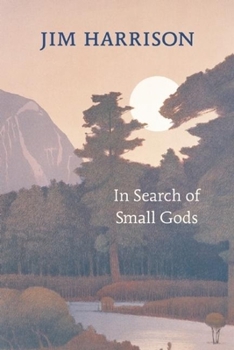 Paperback In Search of Small Gods Book