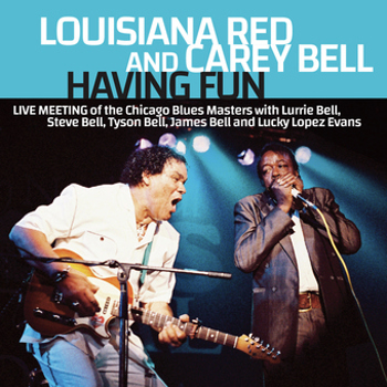 Music - CD Having Fun: Live Meeting Of The Chicago Book