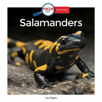 Staple Bound Salamanders Book