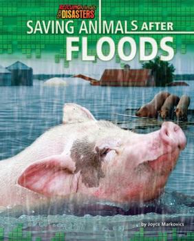 Library Binding Saving Animals After Floods Book