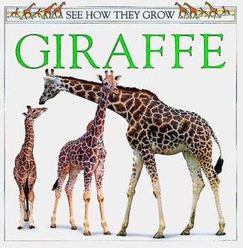 See How They Grow: Giraffe - Book  of the See How They Grow