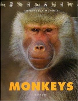 Library Binding Monkeys Book