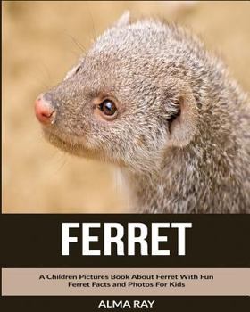 Paperback Ferret: A Children Pictures Book About Ferret With Fun Ferret Facts and Photos For Kids Book