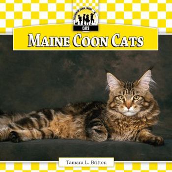 Maine Coon Cats - Book  of the Cats