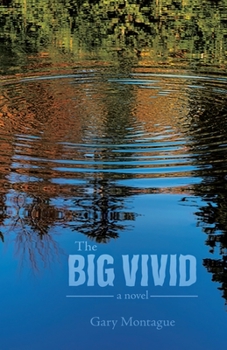 Paperback The Big Vivid Book