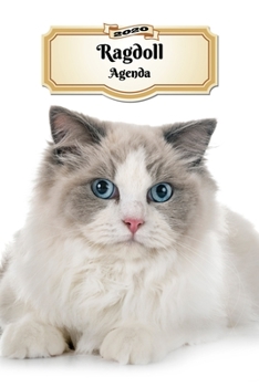 2020 Ragdoll Agenda: 107 Pagine | Dimensioni DIN A5 | Pianificatore Settimanale | 12 Mesi | Due Pagine Per Settimana | Calendario | Diario | Gatto (Italian Edition)
