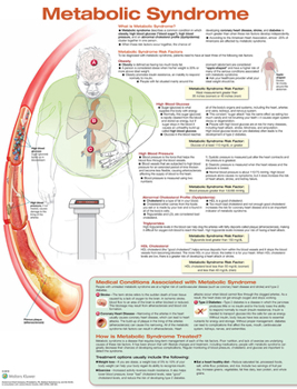 Metabolic Syndrome Anatomical Chart Laminated