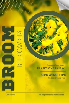 Broom: Flower overview and Growing Tips