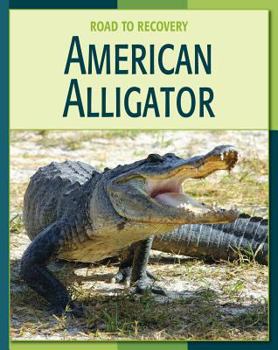 American Alligator (21st Century Skills Library: Road to Recovery) - Book  of the Road to Recovery