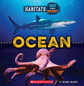 Paperback Ocean (Wild World: Habitats Day and Night) Book