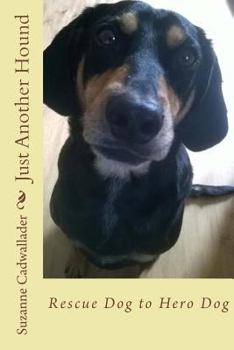 Paperback Just Another Hound: Rescue Dog to Hero Dog Book