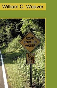 Paperback Road Ends in Water Book