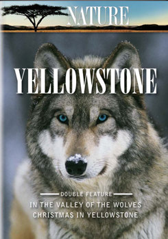DVD Nature: Yellowstone Book