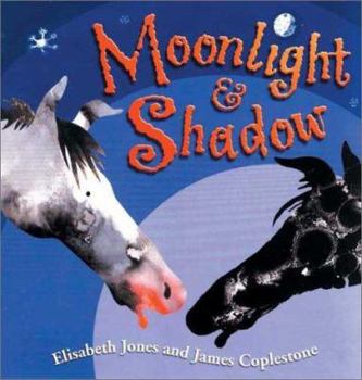 Hardcover Moonlight and Shadow Book