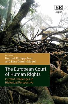 Hardcover The European Court of Human Rights: Current Challenges in Historical Perspective Book