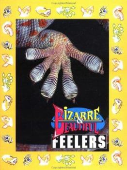 Paperback Bizarre & Beautiful Feelers (Bizarre and Beautiful) Book