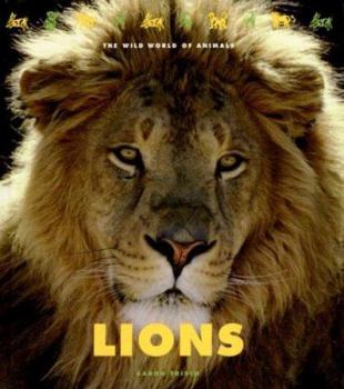 Hardcover Lions Book