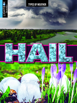 Library Binding Hail Book