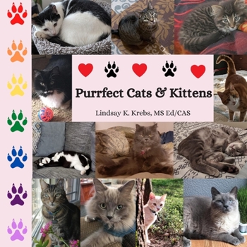 Paperback Purrfect Cats & Kittens Book