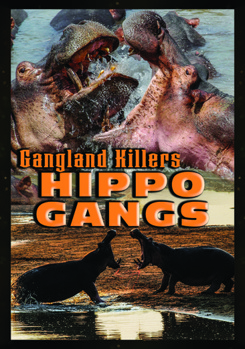 DVD Gangland Killers: Hippo Gangs Book