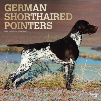 Calendar German Shorthaired Pointers 2023 Square Foil Book