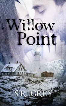Willow Point - Book #2 of the A Harbour Falls Mystery